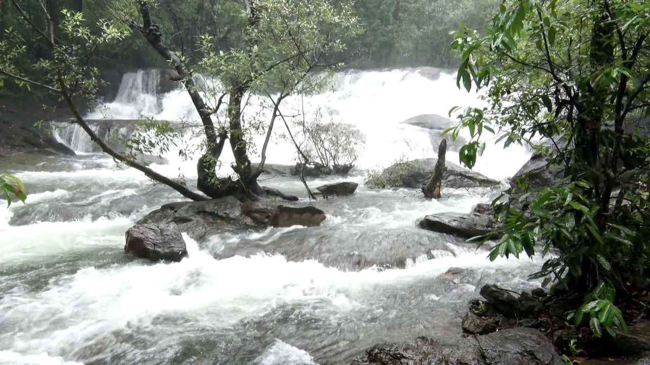 ಕಾಂತರಾ ಚಿತ್ರದಲ್ಲಿಯೂ ಈ ಜಲಪಾತ ಕಾಣಿಸಿಕೊಂಡಿದ್ದು ಕಾಂತರ ಚಿತ್ರದ ಬಳಿಕ ಇರ್ಕಿಗದ್ದೆ ಜಲಪಾತ ಪ್ರವಾಸಿಗರ ಹಾಟ್ ಫೆವರೇಟ್ ಆಗಿದೆ.