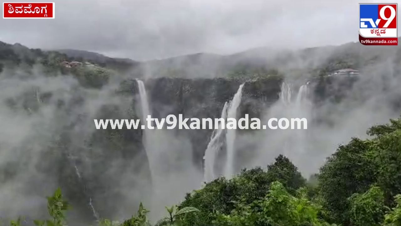 Jog Falls: ಜೋಗ ಜಲಪಾತದ ವೈಭವ ಕಣ್ತುಂಬಿಕೊಳ್ಳಲು ಜನ ಸಾಗರ