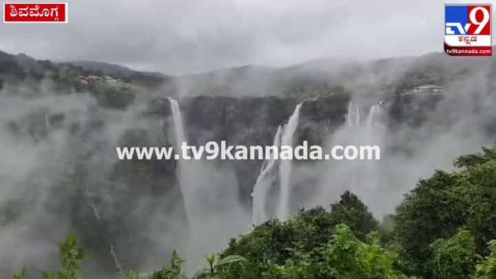 Jog Falls: ಜೋಗ ಜಲಪಾತದ ವೈಭವ ಕಣ್ತುಂಬಿಕೊಳ್ಳಲು ಜನ ಸಾಗರ Jog Falls: ಜೋಗ ಜಲಪಾತದ ವೈಭವ ಕಣ್ತುಂಬಿಕೊಳ್ಳಲು ಜನ ಸಾಗರ
