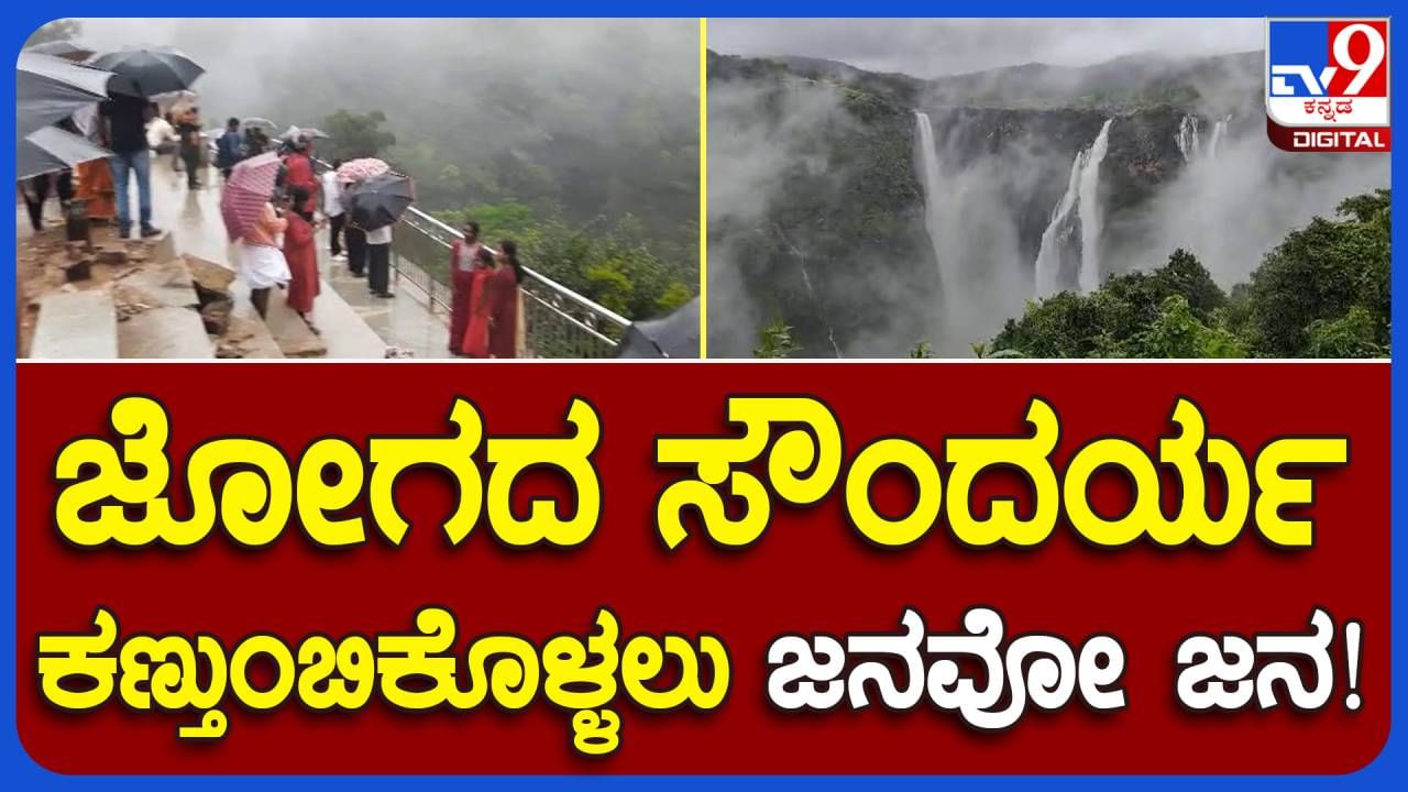 Jog waterfalls: ಧುಮ್ಮಿಕ್ಕುತ್ತಿರುವ ಜೋಗದ ಸೊಬಗು ಆಸ್ವಾದಿಸುವಾಗ ಕವಿ ನಿಸಾರ್ ಅಹಮದ್​ರ ನಿತ್ಯೋತ್ಸವ ಕವನ ನೆನಪಾದರೆ ಆಶ್ಚರ್ಯವಿಲ್ಲ!