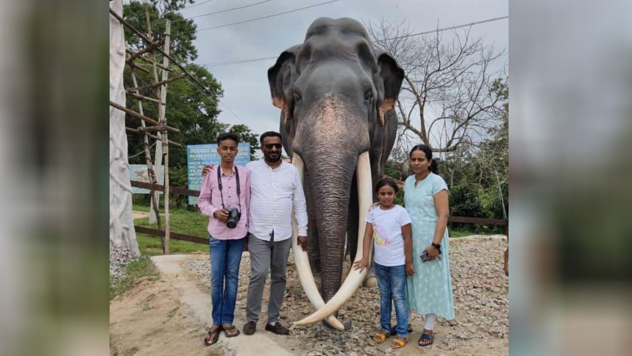 ಕೂಡು ದಂತದ 30-35 ವರ್ಷ ವಯಸ್ಸಿನ ಜೂನಿಯರ್ ಭೋಗೇಶ್ವರ ಅಂದ್ರೆ ಪ್ರವಾಸಿಗರಿಗೆ ಸಿಕ್ಕಾಪಟ್ಟೆ ಇಷ್ಟ. ಪ್ರವಾಸಿಗರ ಜೊತೆ ಪೋಟೋಗೆ ಫೋಸ್ ನೀಡುತ್ತಾನೆ.