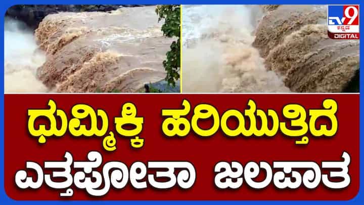 Video: ಕಲಬುರಗಿಯಲ್ಲಿ ಭಾರೀ ಮಳೆ: ಮೈಬುಂದಿ ಹರಿಯುತ್ತಿದೆ ಎತ್ತಪೋತಾ ಜಲಪಾತ Video: ಕಲಬುರಗಿಯಲ್ಲಿ ಭಾರೀ ಮಳೆ: ಮೈಬುಂದಿ ಹರಿಯುತ್ತಿದೆ ಎತ್ತಪೋತಾ ಜಲಪಾತ