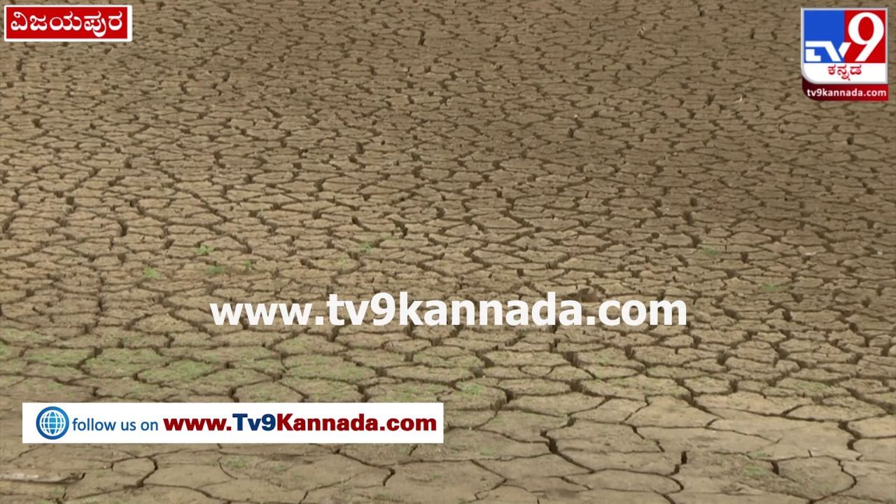 Krishna River Ground Report: ಬರಿದಾದ ಕೃಷ್ಣೆಯ ಒಡಲು