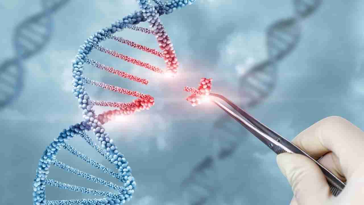 Gene Therapy Treatment: ದೇಶದಲ್ಲಿಯೇ ಮೊದಲ ಬಾರಿಗೆ ಜೀನ್ ಥೆರಪಿ ಚಿಕಿತ್ಸೆಯನ್ನು ಆರಂಭಿಸಲಿದೆ ಕರ್ನಾಟಕದ ನಾರಾಯಣ ನೇತ್ರಾಲಯ