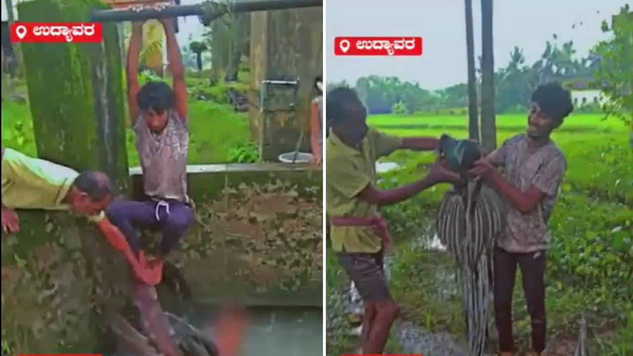 Viral Video: ಉಡುಪಿ; ಬಾವಿಯಲ್ಲಿ ಬಿದ್ದ ನವಿಲನ್ನು ರಕ್ಷಿಸಿದ ಅಪ್ಪ ಮಗ Viral Video: ಉಡುಪಿ; ಬಾವಿಯಲ್ಲಿ ಬಿದ್ದ ನವಿಲನ್ನು ರಕ್ಷಿಸಿದ ಅಪ್ಪ ಮಗ