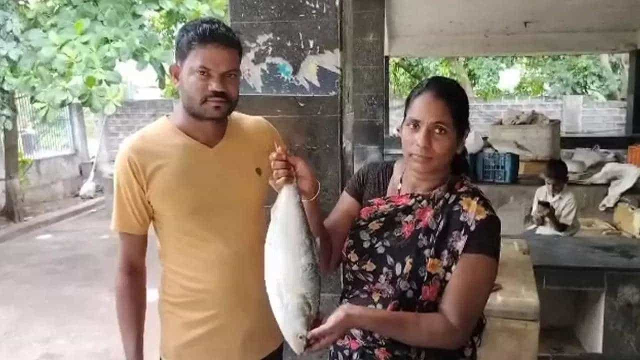 Pulasa Fish: ಗೋದಾವರಿ ನದಿಯಲ್ಲಿ ಸಿಕ್ಕಿದ 2 ಕಿಲೋ ಪುಲಸ ಮೀನು; ಹರಾಜಿನಲ್ಲಿ ದಾಖಲೆ ಬೆಲೆಗೆ ಮಾರಾಟ Pulasa Fish: ಗೋದಾವರಿ ನದಿಯಲ್ಲಿ ಸಿಕ್ಕಿದ 2 ಕಿಲೋ ಪುಲಸ ಮೀನು; ಹರಾಜಿನಲ್ಲಿ ದಾಖಲೆ ಬೆಲೆಗೆ ಮಾರಾಟ