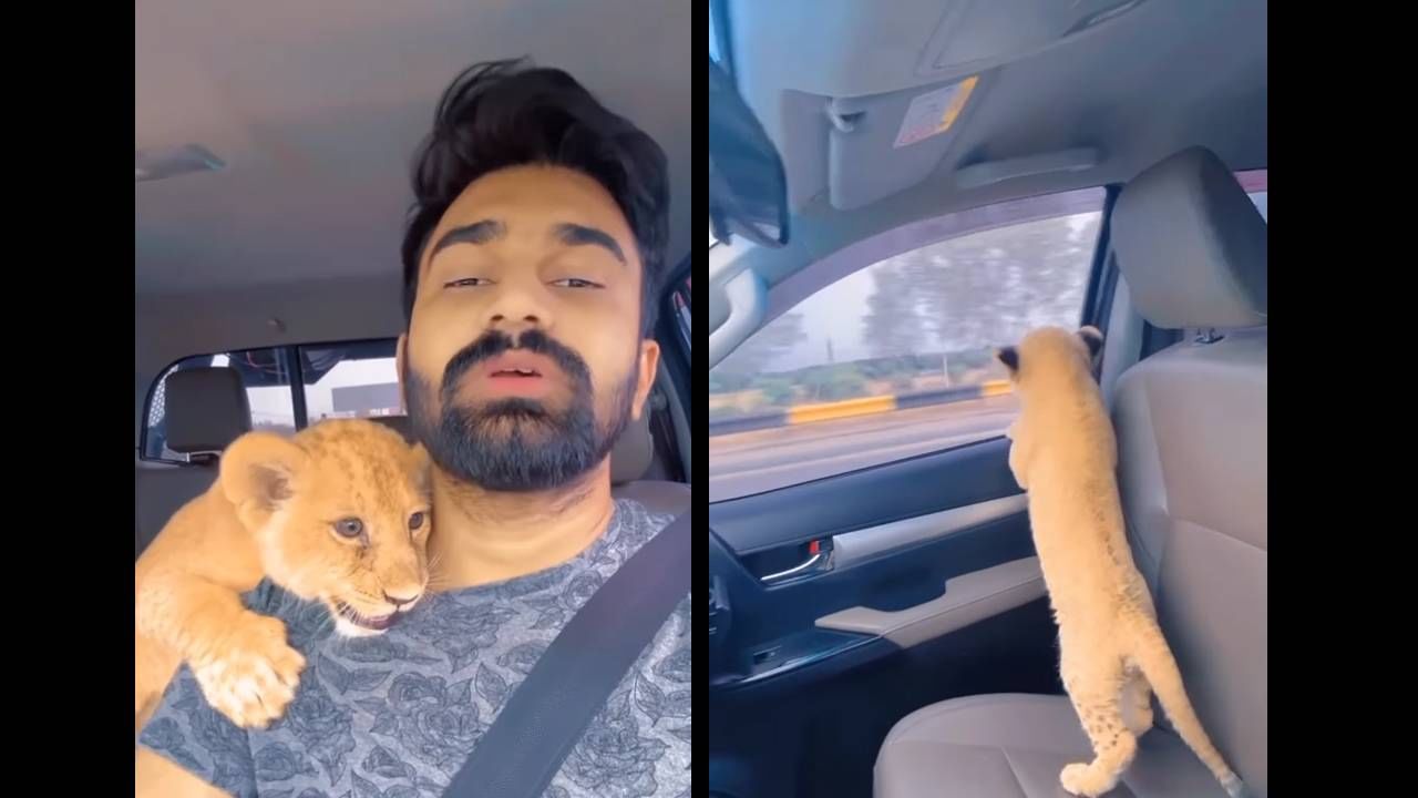 Viral Video: ತಾಯಿಯನ್ನು ಬಿಟ್ಟು ಇವನ ಬಳಿ ಹೇಗೆ ಬಂದಿತಿದು? ನೆಟ್ಟಿಗರಿಂದ ಕಾನೂನುಪಾಠ Viral Video: ತಾಯಿಯನ್ನು ಬಿಟ್ಟು ಇವನ ಬಳಿ ಹೇಗೆ ಬಂದಿತಿದು? ನೆಟ್ಟಿಗರಿಂದ ಕಾನೂನುಪಾಠ