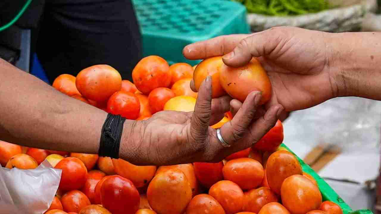 Tomato Price: ಸರ್ಕಾರದಿಂದ ಟೊಮೆಟೋಗೆ ಸಬ್ಸಿಡಿ ಇನ್ನಷ್ಟು ಹೆಚ್ಚಳ; ಕಿಲೋಗೆ 70 ರೂನಂತೆ ಮಾರಾಟ