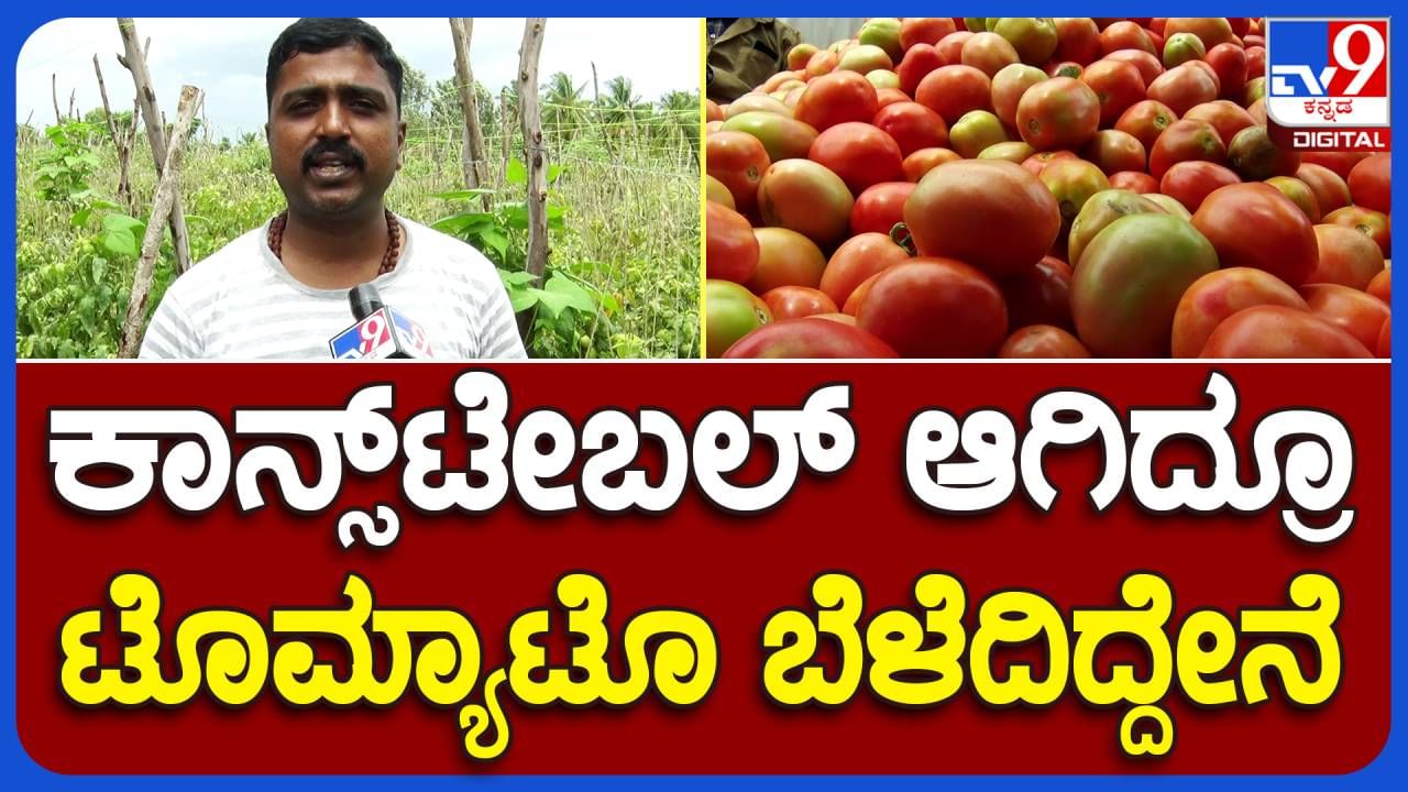 Bumper price for tomato: ಪೊಲೀಸ್ ಕೆಲಸ ಮಾಡಿಕೊಂಡು ಟೊಮೆಟೊ ಬೆಳೆಗಾರನಾಗಿರುವ ಭೈರೇಶ್ ಈಗ ಲಕ್ಷಾಧಿಪತಿ!