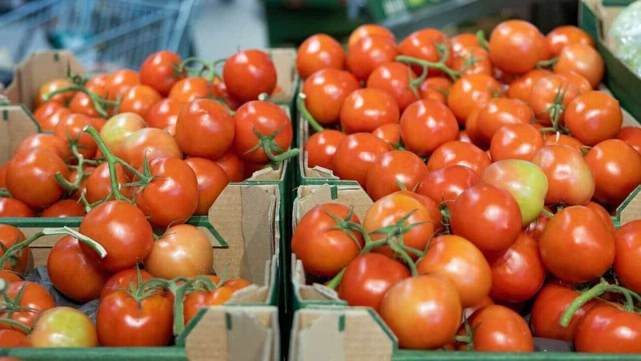 Tomato: ಟೊಮೆಟೋ ಬೆಲೆ ನಿಯಂತ್ರಣಕ್ಕೆ ಸರ್ಕಾರ ಕ್ರಮ; ಕರ್ನಾಟಕ, ಮಹಾರಾಷ್ಟ್ರ, ಆಂಧ್ರದಿಂದ ಖರೀದಿಸಿ ಬೇರೆ ರಾಜ್ಯಗಳಿಗೆ ವಿತರಣೆ