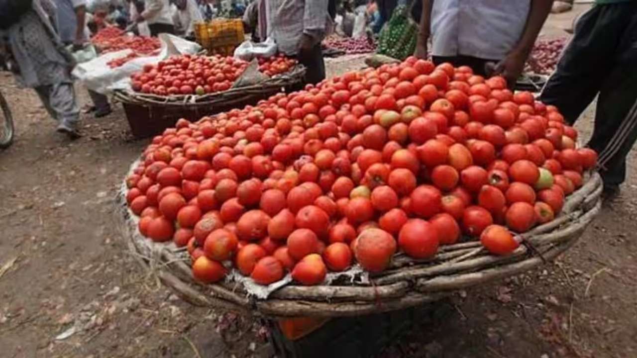 Tomato: ಕೋಲಾರದಲ್ಲಿ ಹೆಚ್ಚಿನ ಬೆಲೆ ತೆತ್ತು ಟೊಮೆಟೋ ಸಾಗಿಸುತ್ತಿರುವ ಉತ್ತರಭಾರತೀಯ ವರ್ತಕರು; ಬೆಂಗಳೂರಿಗೆ ಕಡಿಮೆ ಪೂರೈಕೆ