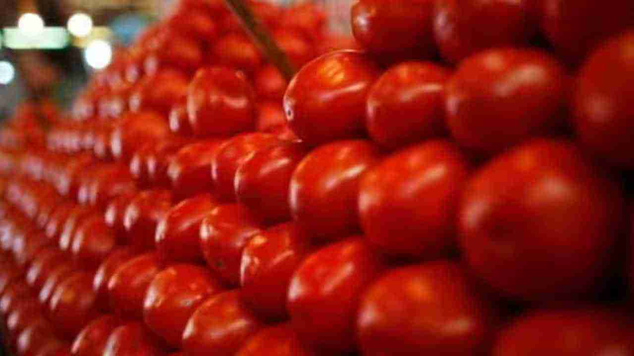 Tomato Price: ಬೆಲೆ ಕಡಿಮೆಯಾಗುವವರೆಗೂ ಟೊಮೆಟೊ ಬಾತ್​ ಮಾಡಲ್ಲ ಎಂದ ಹೋಟೆಲ್ ಮಾಲೀಕ, ಅಳಲು ತೋಡಿಕೊಂಡ ಅಡುಗೆ ಭಟ್ಟ