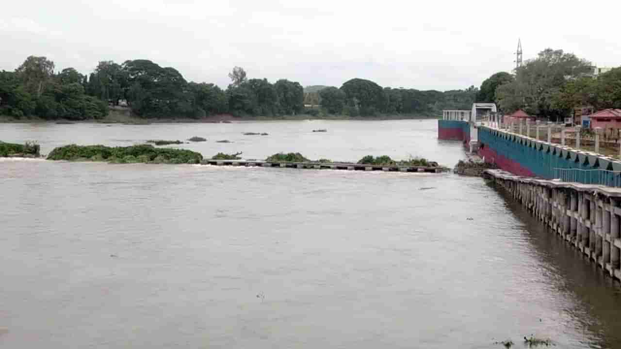 Karnataka Dam Water Level:ವರುಣನ ಆರ್ಭಟಕ್ಕೆ ತುಂಬಿದ ಹಲವು ಡ್ಯಾಂಗಳು, ಜು.7ರ ಕರ್ನಾಟಕದ ಪ್ರಮುಖ ಜಲಾಶಯಗಳ ನೀರಿನ ಮಟ್ಟ ಇಲ್ಲಿದೆ