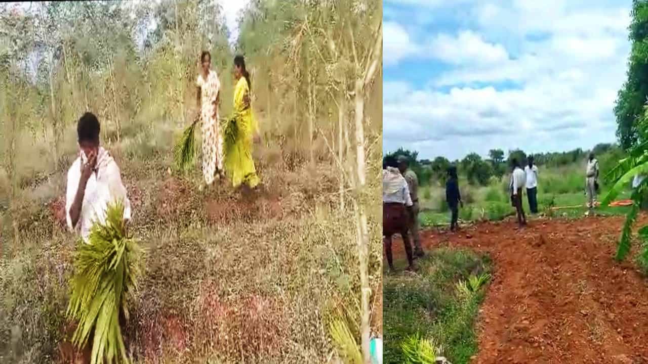 Tumakuru: ಕಷ್ಟಪಟ್ಟು ನೆಟ್ಟಿದ್ದ 400ಕ್ಕೂ ಹೆಚ್ಚು ಅಡಿಕೆ ಗಿಡಗಳನ್ನು ಕಡಿದ ದುಷ್ಕರ್ಮಿಗಳು Tumakuru: ಕಷ್ಟಪಟ್ಟು ನೆಟ್ಟಿದ್ದ 400ಕ್ಕೂ ಹೆಚ್ಚು ಅಡಿಕೆ ಗಿಡಗಳನ್ನು ಕಡಿದ ದುಷ್ಕರ್ಮಿಗಳು