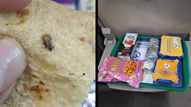 Viral: ಚಪಾತಿಯಲ್ಲಿ ಜಿರಳೆಮರಿ; ವಂದೇ ಭಾರತ್​​​ನಿಂದ ಪ್ರಯಾಣಿಕರೊಬ್ಬರಿಗೆ 'ಉಚಿತ ಕೊಡುಗೆ'