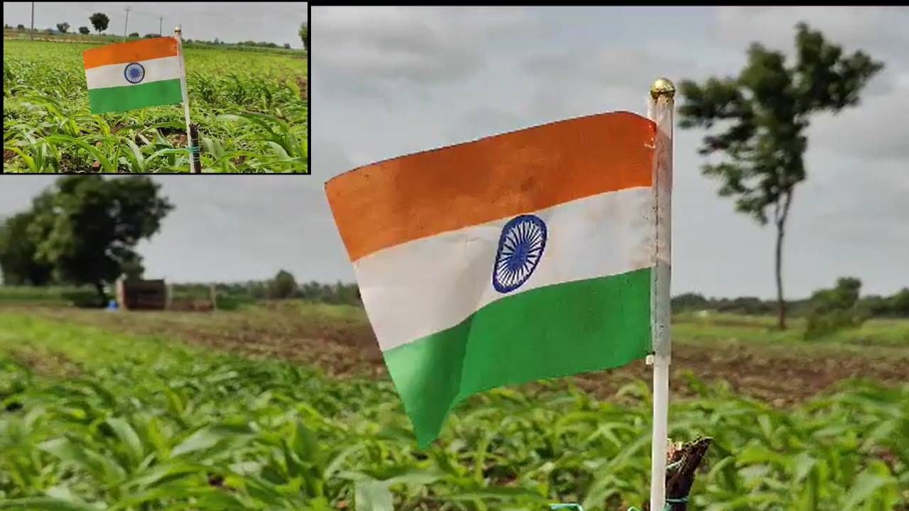 ಹೌದು, ಮೆಕ್ಕೆಜೋಳದ ಬೆಳೆಯ ನಡುವೆ ರೈತ ಕುಟುಂಬದ ಮಕ್ಕಳು ಜಮೀನನಲ್ಲೂ ದ್ವಜಾರೋಹಣ ಮಾಡುವ ಮೂಲಕ ದೇಶಾಭಿಮಾನ ಮೆರೆದಿದ್ದಾರೆ. 