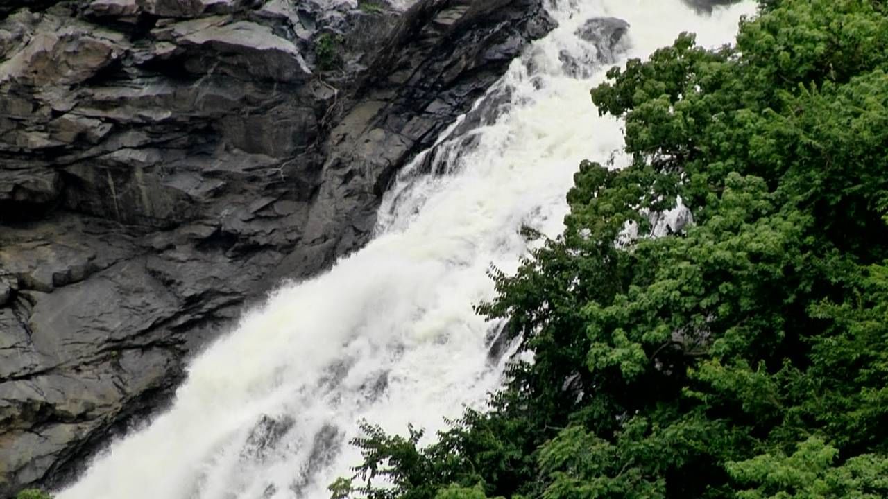 ಹೌದು ಕಬಿನಿ ಹಾಗೂ ಕೆಆರ್​ಎಸ್ ಜಲಾಶಯದಿಂದ ಕಪಿಲಾ ಹಾಗೂ ಕಾವೇರಿ ನದಿಗೆ ನೀರನ್ನ ಹರಿಬಿಟ್ಟಿರುವ ಹಿನ್ನೆಲೆಯಲ್ಲಿ ಗಗನಚುಚ್ಚಿ ಜಲಪಾತಕ್ಕೆ ಜೀವಕಳೆ ಬಂದಿದೆ. ಕೆಲವೇ ದಿನಗಳ ಕೆಳಗೆ ಸಂಪೂರ್ಣವಾಗಿ ಬತ್ತಿ ಹೋಗಿದ್ದ ಜಲಪಾತ ಇದೀಗ ಧುಮ್ಮುಕ್ಕುತ್ತಿದೆ. 