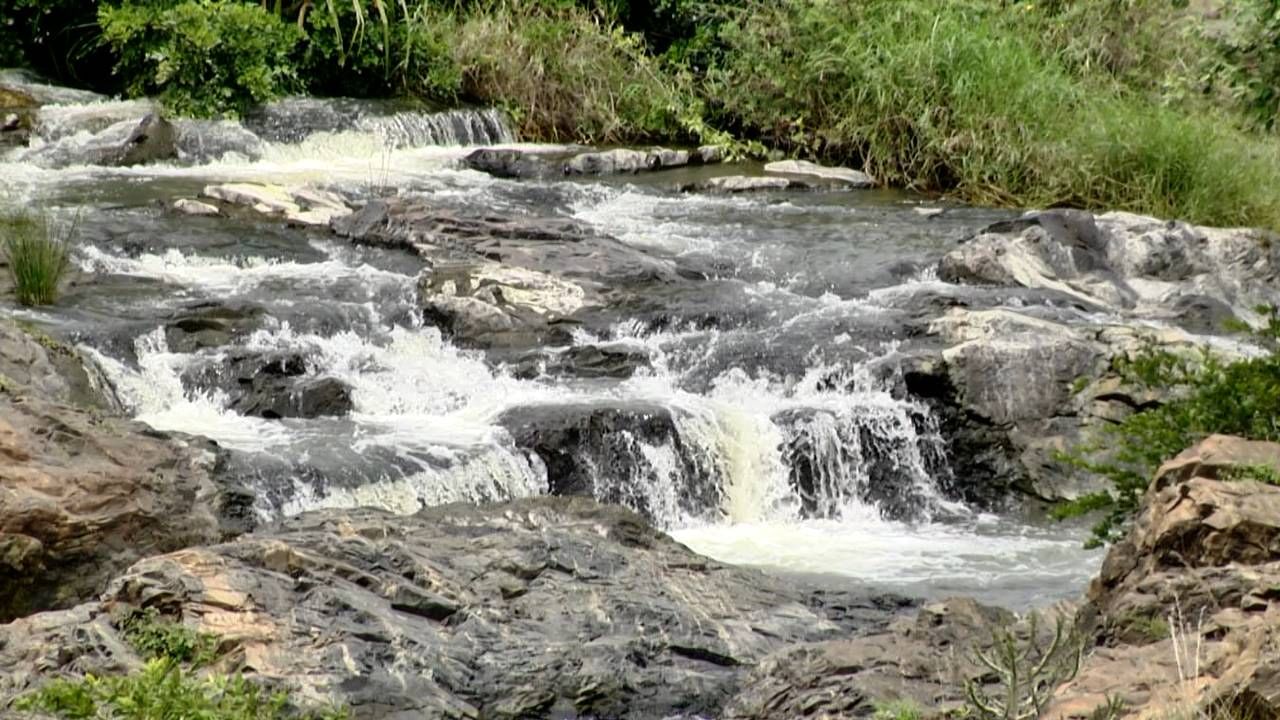 ಹಾಲ್ನೋರೆಯಂತೆ ಮೇಲಿಂದ ಕೆಳಗೆ ಧುಮಕುವ ನೀರು ಪ್ರವಾಸಿಗರನ್ನ ತನ್ನತ್ತ ಸೆಳೆಯುತ್ತಿದೆ. ಸುತ್ತಲು ಅರಣ್ಯ ಪ್ರದೇಶ. ಅರಣ್ಯ ಪ್ರದೇಶದ ಮಧ್ಯೆ ಸುಂದರವಾಗಿ ಧುಮಕುತ್ತಿರೋ ಗಗನಚುಕ್ಕಿ ಜಲಪಾತವನ್ನ ನೋಡಲು ಮಂಡ್ಯ ಸೇರಿದಂತೆ ಹಲವು ಜಿಲ್ಲೆಗಳಿಂದ ಪ್ರವಾಸಿಗರು ಬರುತ್ತಿದ್ದಾರೆ. 