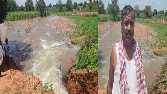 ವಿಜಯಪುರ: ಆಲಮಟ್ಟಿ ಎಡದಂಡೆ ಮುಖ್ಯ ಕಾಲುವೆ ಒಡೆದು ಜಮೀನಿಗೆ ನುಗ್ಗಿದ ನೀರು; ಅಪಾರ ಪ್ರಮಾಣದ ಬೆಳೆ ಹಾನಿ