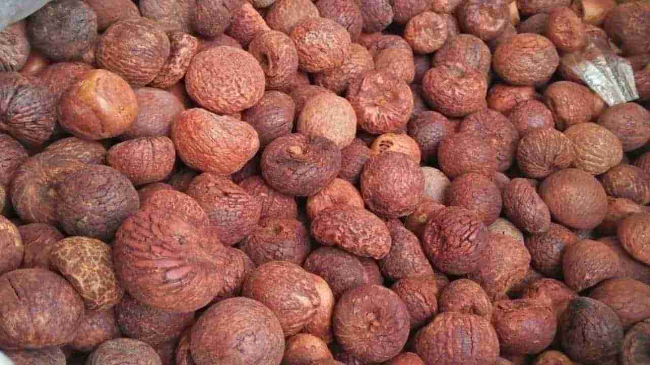 Arecanut Price 2 August: ಇಂದಿನ ಅಡಿಕೆ ಧಾರಣೆ, ಪ್ರಮುಖ ಮಾರುಕಟ್ಟೆಯಲ್ಲಿ ಅಡಿಕೆ ದರ ಹೀಗಿದೆ