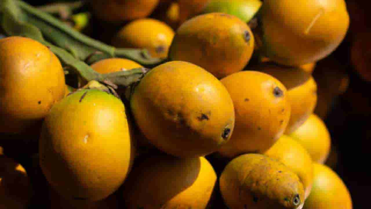 Arecanut Price 14 August: ಪ್ರಮುಖ ಮಾರುಕಟ್ಟೆಯಲ್ಲಿ ಇಂದಿನ ಅಡಿಕೆ ಧಾರಣೆ, ಕೋಕೋ ರೇಟ್ ಹೀಗಿದೆ