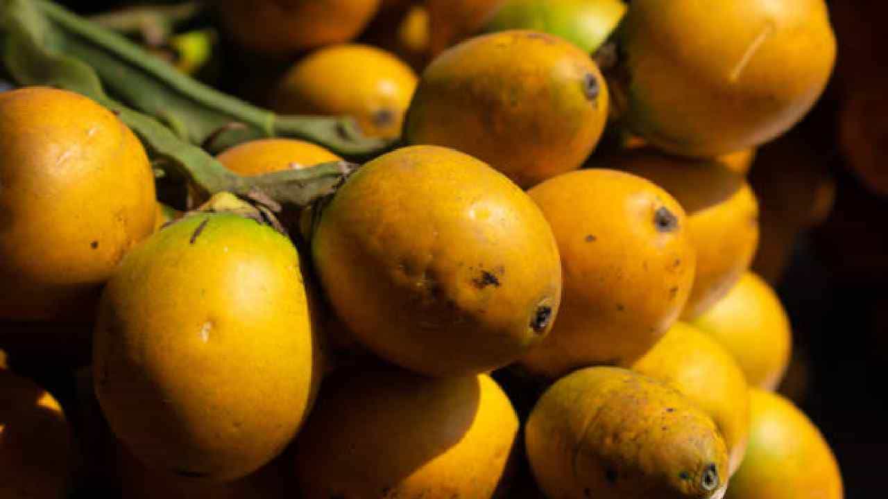 Arecanut Price 14 August: ಪ್ರಮುಖ ಮಾರುಕಟ್ಟೆಯಲ್ಲಿ ಇಂದಿನ ಅಡಿಕೆ ಧಾರಣೆ, ಕೋಕೋ ರೇಟ್ ಹೀಗಿದೆ Arecanut Price 14 August: ಪ್ರಮುಖ ಮಾರುಕಟ್ಟೆಯಲ್ಲಿ ಇಂದಿನ ಅಡಿಕೆ ಧಾರಣೆ, ಕೋಕೋ ರೇಟ್ ಹೀಗಿದೆ