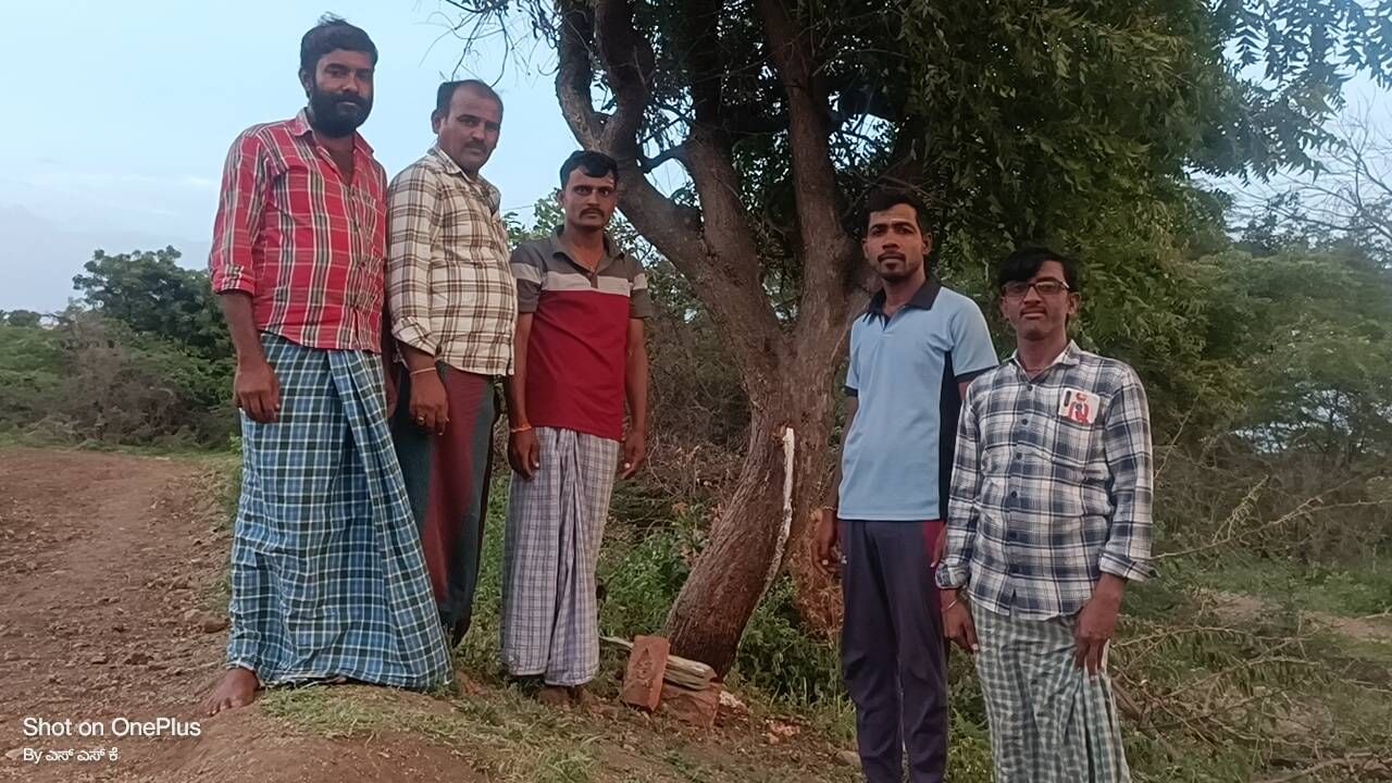 A Milky liquid is dripping from the Neem tree in Bagalakot