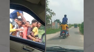 Viral: ಫ್ಲೋರಿಡಾದ ಜಿಮ್​ಗೆ ಭೇಟಿ ನೀಡಿದ ಮರಿಯಾಮೆ; ಮ್ಯಾನೇಜರ್​ಗೆ ವ್ಯಾಯಾಮ ಮಾಡಿಸಿ ಮರಳಿತು