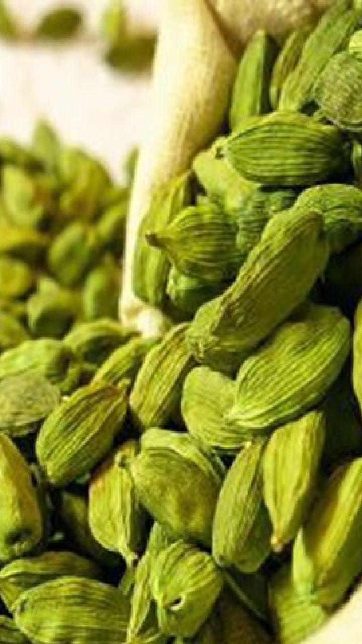 Cardamom (4)