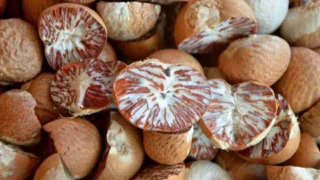 Arecanut Price 23 August: ಇಂದಿನ ಅಡಿಕೆ ಧಾರಣೆ ಮತ್ತು ಕೋಕೋ ದರ ಹೀಗಿದೆ