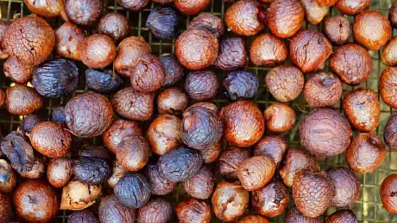 Arecanut Price 7 August: ಇಂದಿನ ಅಡಿಕೆ ಧಾರಣೆ ಹೀಗಿದೆ, ಕೋಕೋ ದರ ಹೇಗಿದೆ?