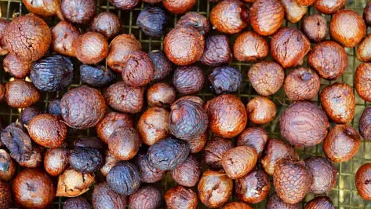 Arecanut Price 7 August: ಇಂದಿನ ಅಡಿಕೆ ಧಾರಣೆ ಹೀಗಿದೆ, ಕೋಕೋ ದರ ಹೇಗಿದೆ? Arecanut Price 7 August: ಇಂದಿನ ಅಡಿಕೆ ಧಾರಣೆ ಹೀಗಿದೆ, ಕೋಕೋ ದರ ಹೇಗಿದೆ?