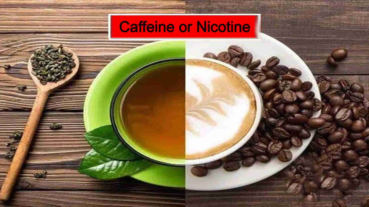 Coffee vs Tea: ಕಾಫಿ-ಚಹಾ ಈ ಎರಡರಲ್ಲಿ ಯಾವುದು ಬೆಸ್ಟ್? ಆರೋಗ್ಯಕ್ಕೆ ಯಾವುದು ಅಪಾಯಕಾರಿ?