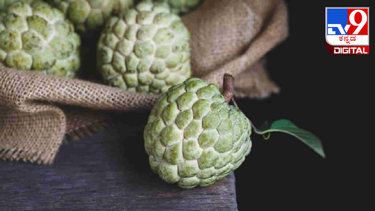 Custard apple recipes: ಸೀತಾಫಲದಿಂದ ಮಾಡುವ ಈ  ಪಾಕವಿಧಾನಗಳನ್ನು ಪ್ರಯತ್ನಿಸಿ, ರುಚಿಯ ಜೊತೆಗೆ ಆರೋಗ್ಯ ಪ್ರಯೋಜನಗಳನ್ನು ಪಡೆದುಕೊಳ್ಳಿ