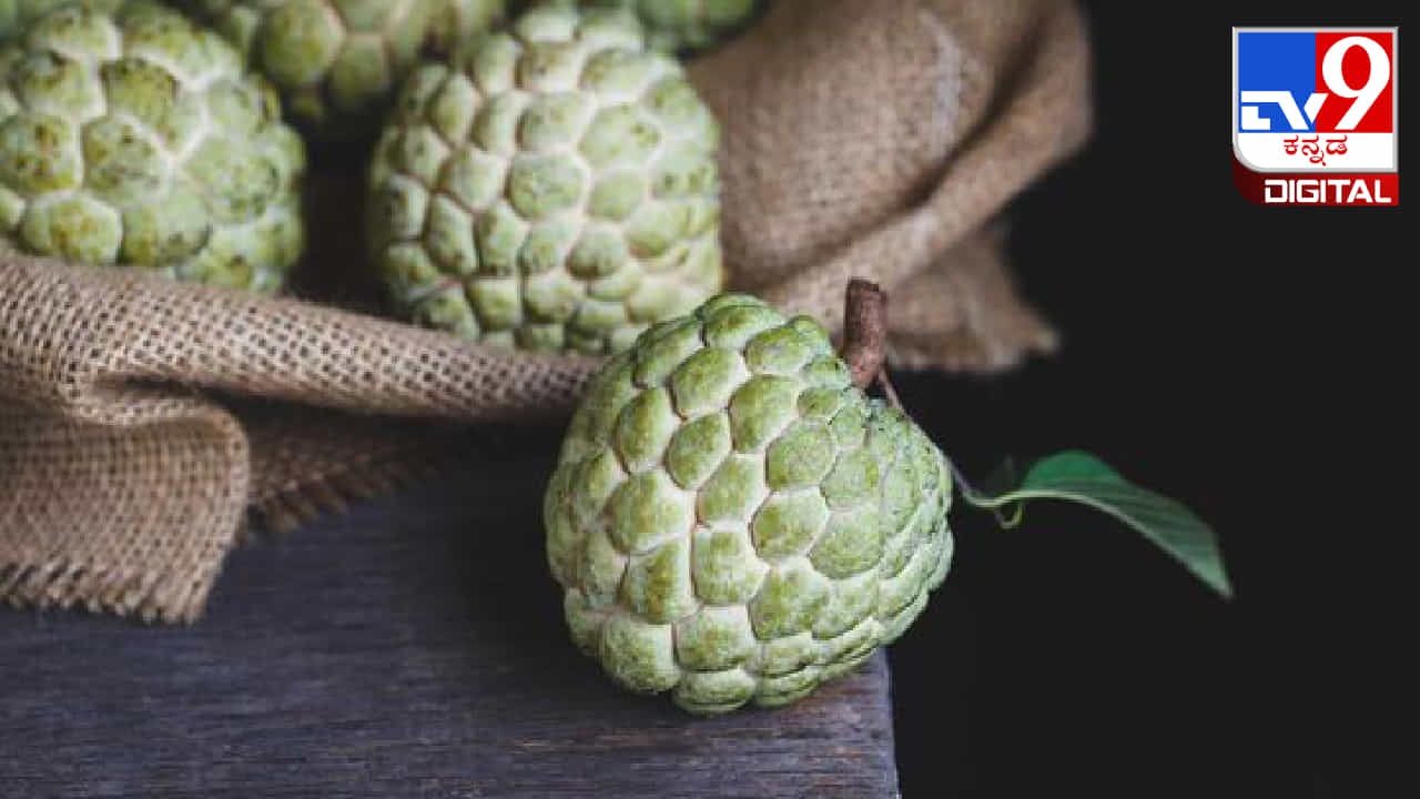 Custard apple recipes: ಸೀತಾಫಲದಿಂದ ಮಾಡುವ ಈ  ಪಾಕವಿಧಾನಗಳನ್ನು ಪ್ರಯತ್ನಿಸಿ, ರುಚಿಯ ಜೊತೆಗೆ ಆರೋಗ್ಯ ಪ್ರಯೋಜನಗಳನ್ನು ಪಡೆದುಕೊಳ್ಳಿ