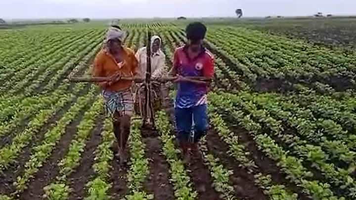 Dharwad News: ಎತ್ತುಗಳು ಮಾಯ, ನೊಗಕ್ಕೆ ಹೆಗಲು ಕೊಟ್ಟ ರೈತ, ವಿಡಿಯೋ ನೋಡಿ Dharwad News: ಎತ್ತುಗಳು ಮಾಯ, ನೊಗಕ್ಕೆ ಹೆಗಲು ಕೊಟ್ಟ ರೈತ, ವಿಡಿಯೋ ನೋಡಿ