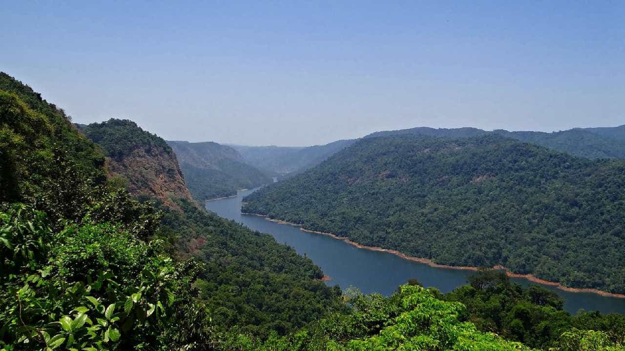 ಅರಣ್ಯ ಸಂರಕ್ಷಣೆ ತಿದ್ದುಪಡಿ ಮಸೂದೆ ಅಂಗೀಕಾರ: ಹಸಿರಾಗಬೇಕಿದ್ದ ರಾಜ್ಯದ 3 ಲಕ್ಷ ಎಕರೆ ಬಂಜರು ಭೂಮಿಗೆ ಕುತ್ತು? ಅರಣ್ಯ ಸಂರಕ್ಷಣೆ ತಿದ್ದುಪಡಿ ಮಸೂದೆ ಅಂಗೀಕಾರ: ಹಸಿರಾಗಬೇಕಿದ್ದ ರಾಜ್ಯದ 3 ಲಕ್ಷ ಎಕರೆ ಬಂಜರು ಭೂಮಿಗೆ ಕುತ್ತು?