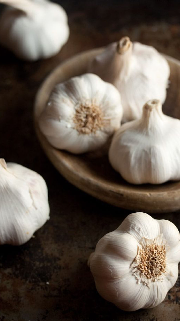 Garlic Benefits (3)