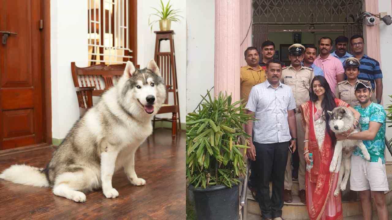 ಬೆಂಗಳೂರು: ಕಾಣೆಯಾಗಿದ್ದ ಹಸ್ಕಿ ತಳಿಯ ಕುರುಡು ಶ್ವಾನ ಪತ್ತೆ ಹಚ್ಚಿದ ಪೊಲೀಸರು ಬೆಂಗಳೂರು: ಕಾಣೆಯಾಗಿದ್ದ ಹಸ್ಕಿ ತಳಿಯ ಕುರುಡು ಶ್ವಾನ ಪತ್ತೆ ಹಚ್ಚಿದ ಪೊಲೀಸರು