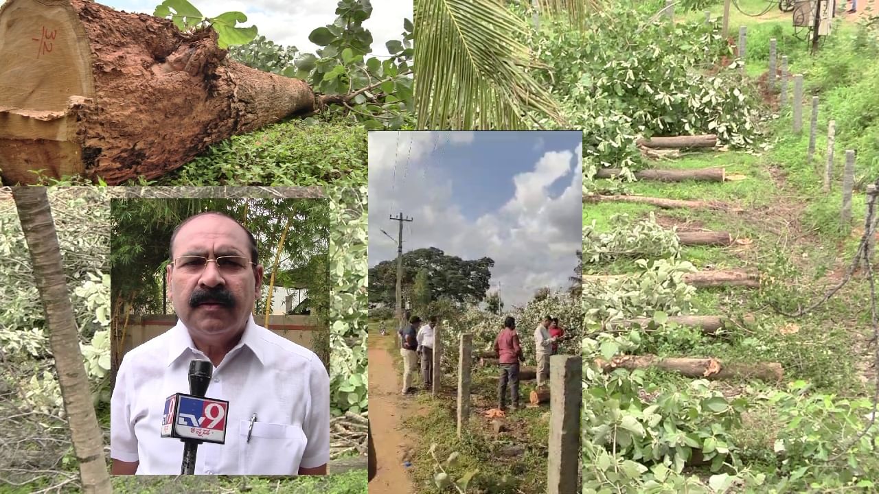 ಶಿವರಾಮ ಕಾರಂತ ಬಿಡಿಎ ಜಾಗದಲ್ಲಿ ಮರಗಳ ಮೇಲೆ ಪ್ರಭಾವಿಗಳ ಕಣ್ಣು, ನೂರಾರು ಮರಗಳನ್ನು ಕ್ಷಣಾರ್ಧದಲ್ಲಿ ಕೊಚ್ಚಿಹಾಕಿದರು