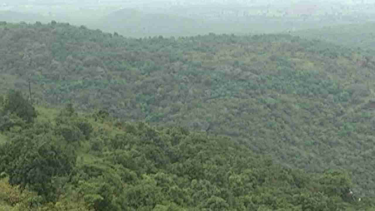 ವನ್ಯಜೀವಿ ಧಾಮ ಕಪ್ಪತ್ತಗುಡ್ಡದ ಮೇಲೆ ಅದೊಂದು ಕಂಪನಿಯ ಕಣ್ಣು: ಚಿನ್ನದ ಗಣಿ ಕಂಪನಿಗೆ ಶುರುವಾಯ್ತು ಢವಢವ!