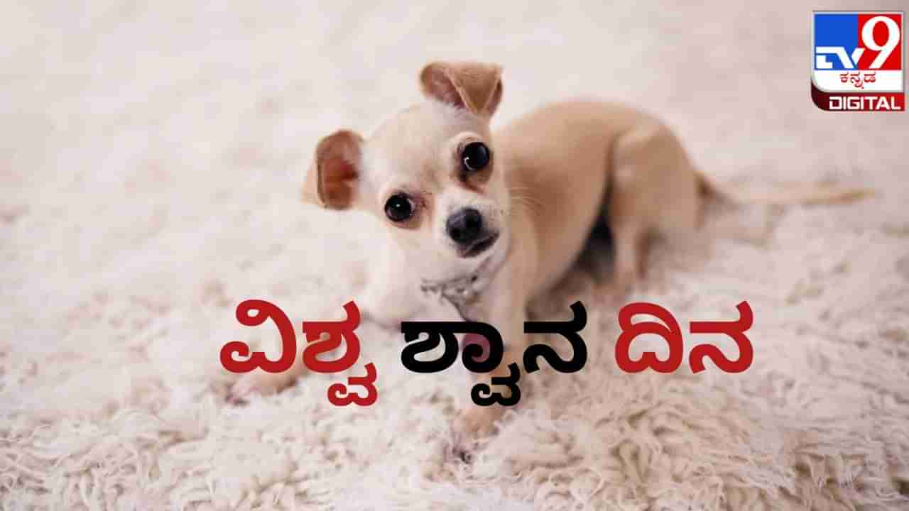 International Dog Day 2023: ಅಂತರಾಷ್ಟ್ರೀಯ ಶ್ವಾನ ದಿನವನ್ನು ಏಕೆ ಆಚರಿಸಲಾಗುತ್ತದೆ? ಇದರ ಇತಿಹಾಸ ಏನು?