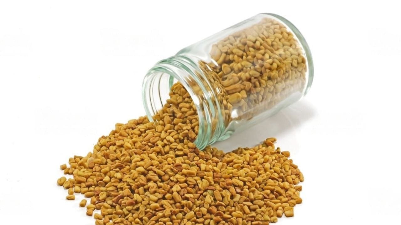 ಮಹಿಳೆಯರ ಆರೋಗ್ಯಕ್ಕೆ ಮೆಂತ್ಯ ಉತ್ತಮ, ಇದರಿಂದ ಅದ್ಭುತ ಪ್ರಯೋಜನ Kannada News