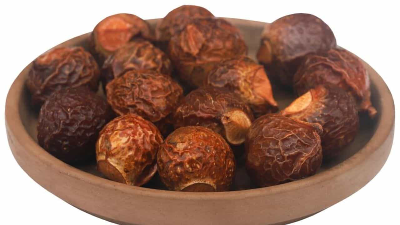ಕೂದಲ ಆರೈಕೆಗೆ ಸಹಕಾರಿ ಅಂಟುವಾಳ ಕಾಯಿ, ಇದರ ಅದ್ಭುತ ಪ್ರಯೋಜನ ಇಲ್ಲಿದೆ ಕೂದಲ ಆರೈಕೆಗೆ ಸಹಕಾರಿ ಅಂಟುವಾಳ ಕಾಯಿ, ಇದರ ಅದ್ಭುತ ಪ್ರಯೋಜನ ಇಲ್ಲಿದೆ