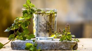 Delicious-Precious Hibiscus Tea: ದೇಹದ ತೂಕ ಕಡಿಮೆ ಮಾಡಿಕೊಳ್ಳಲು ದಾಸವಾಳ ಹೂ ಚಹಾ ಸೇವಿಸಿ, ದಾಸವಾಳ ಟೀ ಮಾಡುವ ಸರಳ ವಿಧಾನ ಇಲ್ಲಿದೆ