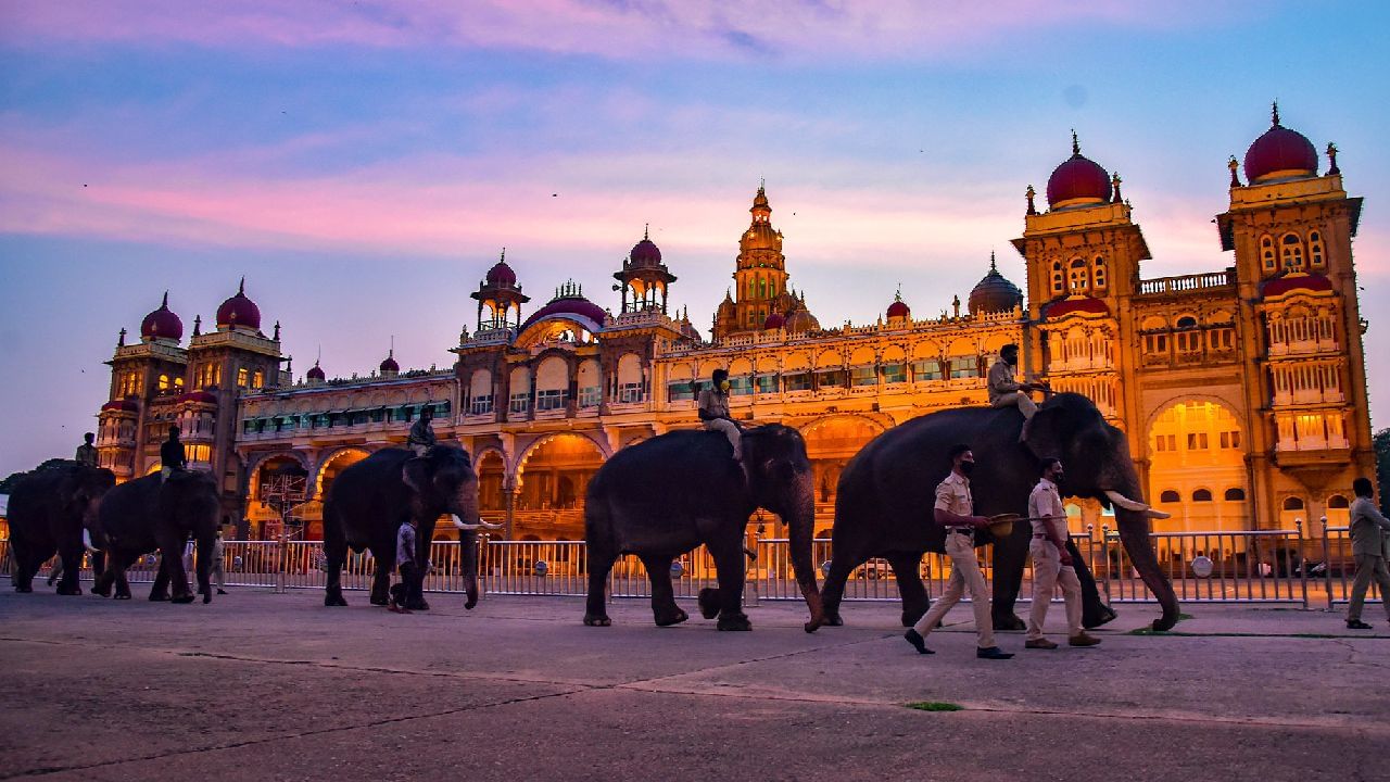 ದಸರಾ ಗಜಪಡೆ ಸ್ವಾಗತಕ್ಕೆ ಮೈಸೂರು ಅರಮನೆ ಸಜ್ಜಾಗುತ್ತಿದೆ. ದಸರಾ ಗಜಪಡೆ ಮೈಸೂರು ಆಗಮನಕ್ಕೆ 10 ದಿನ ಮಾತ್ರ ಬಾಕಿ ಇದೆ. (ಸಂಗ್ರಹ ಚಿತ್ರ)