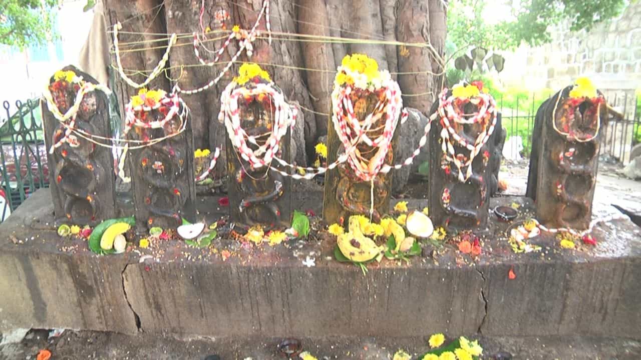 Naga Panchami 2023: ರಾಜ್ಯದೆಲ್ಲೆಡೆ ನಾಗರ ಪಂಚಮಿ ಸಂಭ್ರಮ, ನಾಗಪ್ಪನಿಗೆ ಹಾಲೆರೆದು ಸಂಭ್ರಮಿಸಿದ ಮಹಿಳೆಯರು Naga Panchami 2023: ರಾಜ್ಯದೆಲ್ಲೆಡೆ ನಾಗರ ಪಂಚಮಿ ಸಂಭ್ರಮ, ನಾಗಪ್ಪನಿಗೆ ಹಾಲೆರೆದು ಸಂಭ್ರಮಿಸಿದ ಮಹಿಳೆಯರು