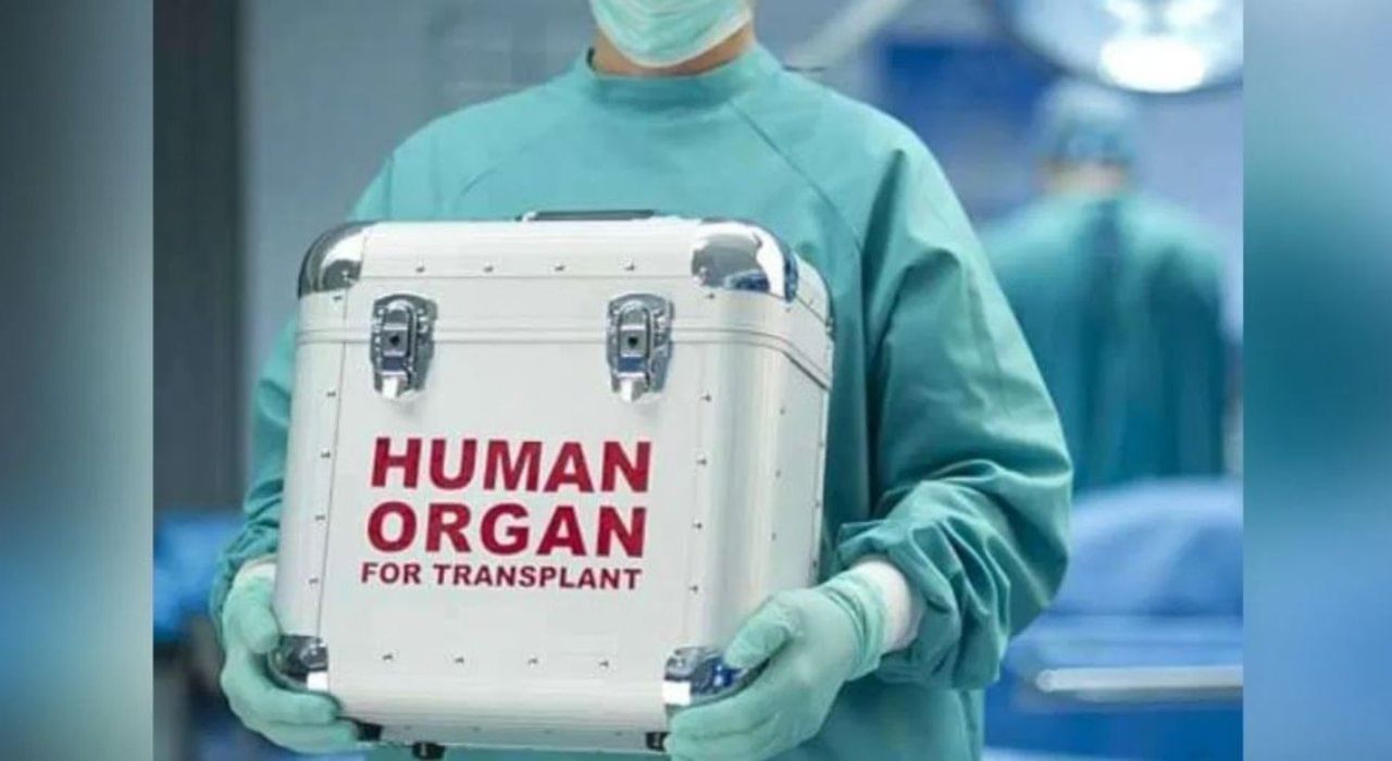 Organ Donation: ಅಂಗಾಂಗ ದಾನದಲ್ಲಿ ಮೂರನೇ ಸ್ಥಾನದಲ್ಲಿದೆ ಕರ್ನಾಟಕ; ರಾಜ್ಯದಲ್ಲಿ ಬೆಂಗಳೂರೇ ಮುಂದು Organ Donation: ಅಂಗಾಂಗ ದಾನದಲ್ಲಿ ಮೂರನೇ ಸ್ಥಾನದಲ್ಲಿದೆ ಕರ್ನಾಟಕ; ರಾಜ್ಯದಲ್ಲಿ ಬೆಂಗಳೂರೇ ಮುಂದು