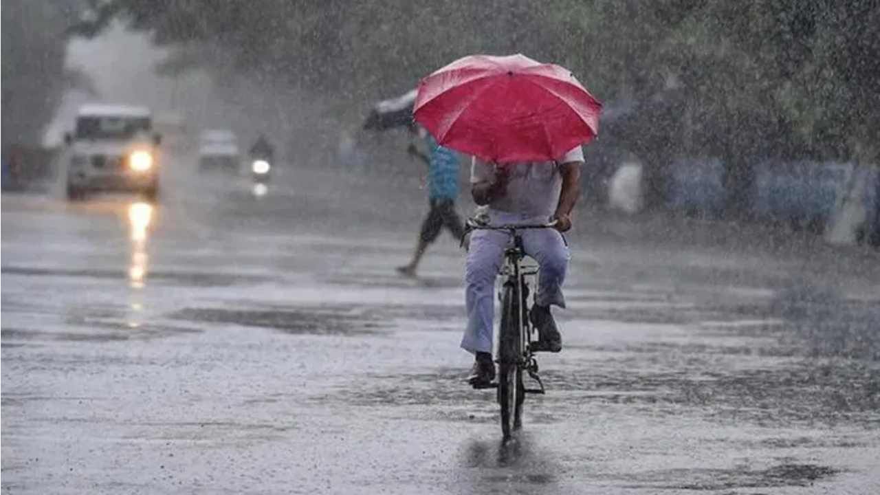 Karnataka Weather: ಕರ್ನಾಟಕದ ಹಲವೆಡೆ ಮತ್ತೆ ಮುಂಗಾರು ಚುರುಕು, ಈ ಜಿಲ್ಲೆಗಳಲ್ಲಿ ಮಳೆ