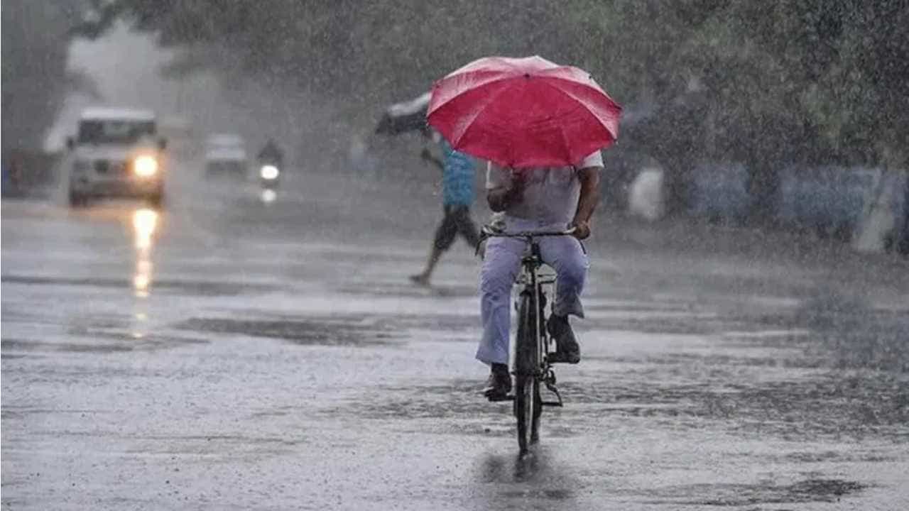 Karnataka Weather: ಕರ್ನಾಟಕದ ಹಲವೆಡೆ ಮತ್ತೆ ಮುಂಗಾರು ಚುರುಕು, ಈ ಜಿಲ್ಲೆಗಳಲ್ಲಿ ಮಳೆ Karnataka Weather: ಕರ್ನಾಟಕದ ಹಲವೆಡೆ ಮತ್ತೆ ಮುಂಗಾರು ಚುರುಕು, ಈ ಜಿಲ್ಲೆಗಳಲ್ಲಿ ಮಳೆ